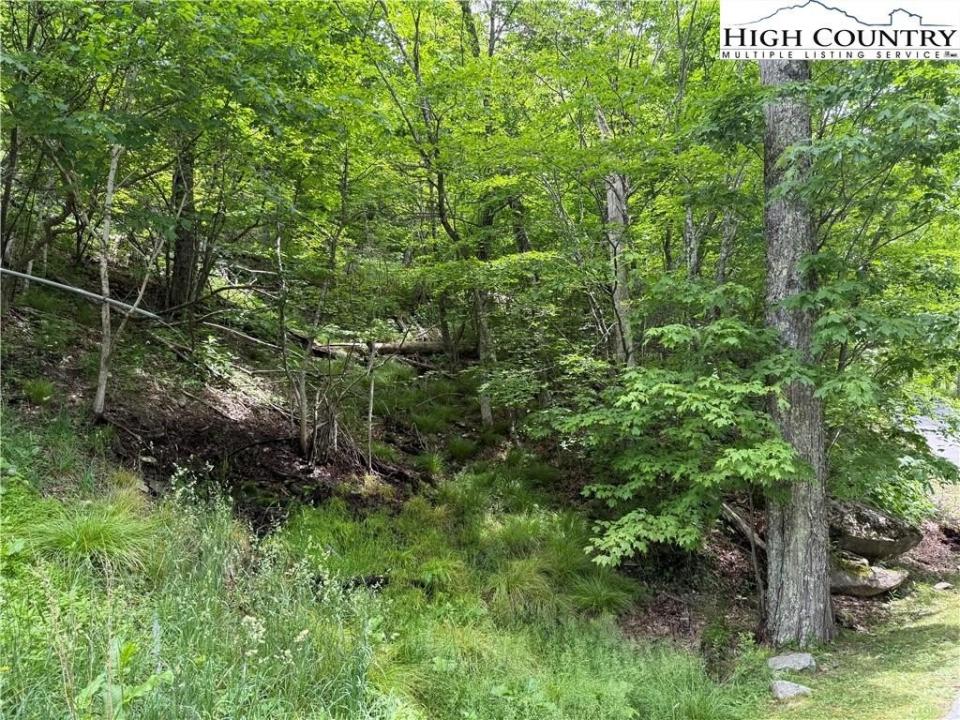 Tbd Wakeman Way, Banner Elk, North Carolina 28604, USA