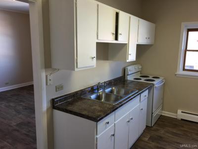 25703 Scott, Calumet, 미시건 49913, 미국