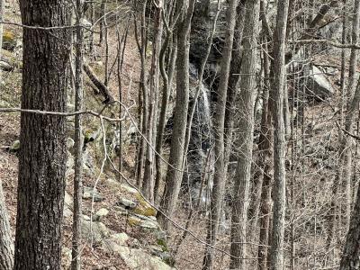 4441 Deer Run Road, Altamont, Tennessee 37301, USA