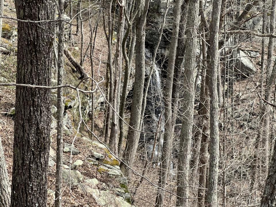 4441 Deer Run Road, Altamont, Tennessee 37301, Estados Unidos