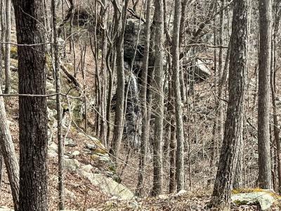 4441 Deer Run Road, Altamont, Tennessee 37301, Estados Unidos