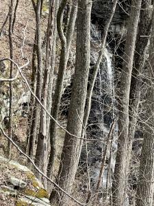 4441 Deer Run Road, Altamont, Tennessee 37301, Estados Unidos