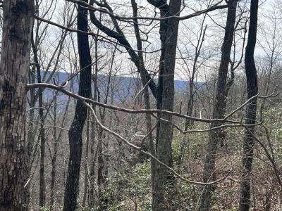 4441 Deer Run Road, Altamont, Tennessee 37301, Estados Unidos
