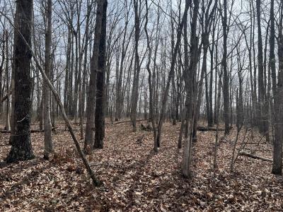 4441 Deer Run Road, Altamont, Tennessee 37301, Estados Unidos