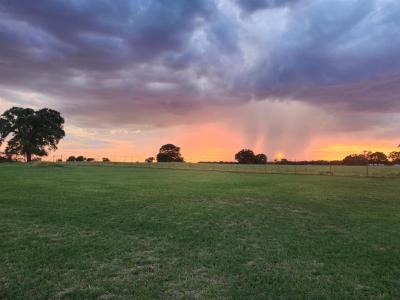 131 Brock Lane, Millsap, Texas 76066, USA