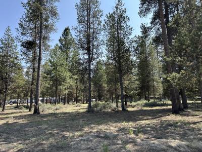 15929 Sparks Drive, La Pine, Oregon 97739, USA