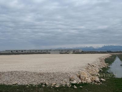 Spitallë, Durrës, Albania