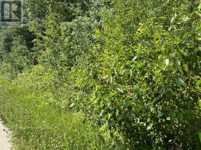 LOT 68 SQUILAX-ANGLEMONT ROAD, St. Ives, Colombia Británica V0E 1M9, Canadá