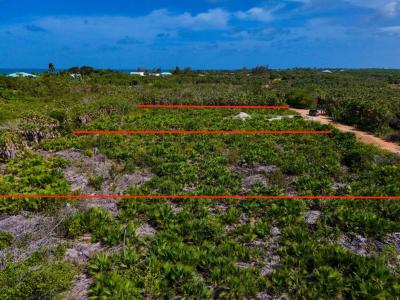 Carribean Way, Placencia Peninsula 00001, 貝里斯
