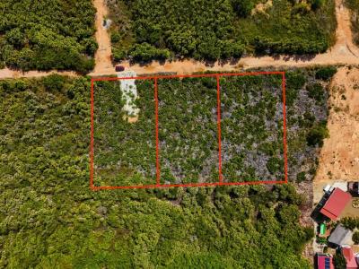 Carribean Way, Placencia Peninsula 00001, 貝里斯