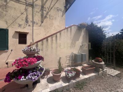 Via Case Sparse, Scansano, Toscana 58054, Itália