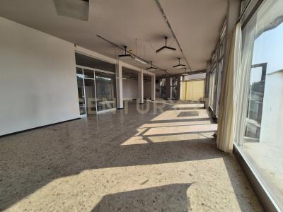 Cerea, Veneto 37053, إيطاليا