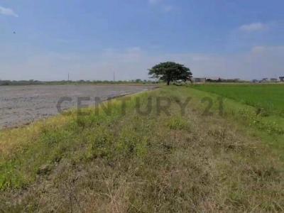 Urb. Hipodromo Buijo La Puntilla s/n, Guayaquil, Guayas 00001, Ecuador