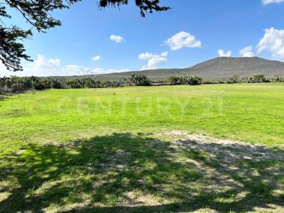 San Juan Del Río, Querétaro 76838, Mexico