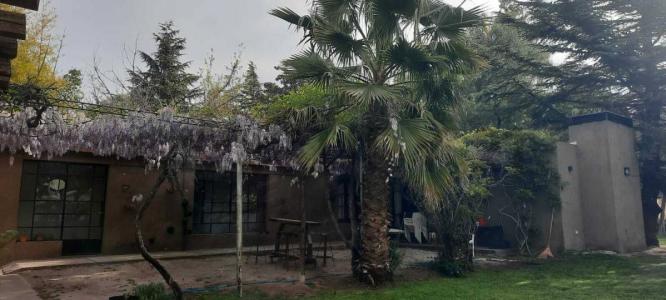 malvinas carrodilla , Luján De Cuyo, Mendoza 5507, الأرجنتين