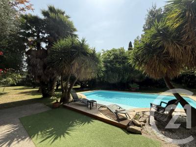 St Cyprien, Languedoc-Roussillon 66750, France