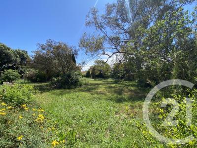 Agde, Languedoc-Roussillon 34300, France