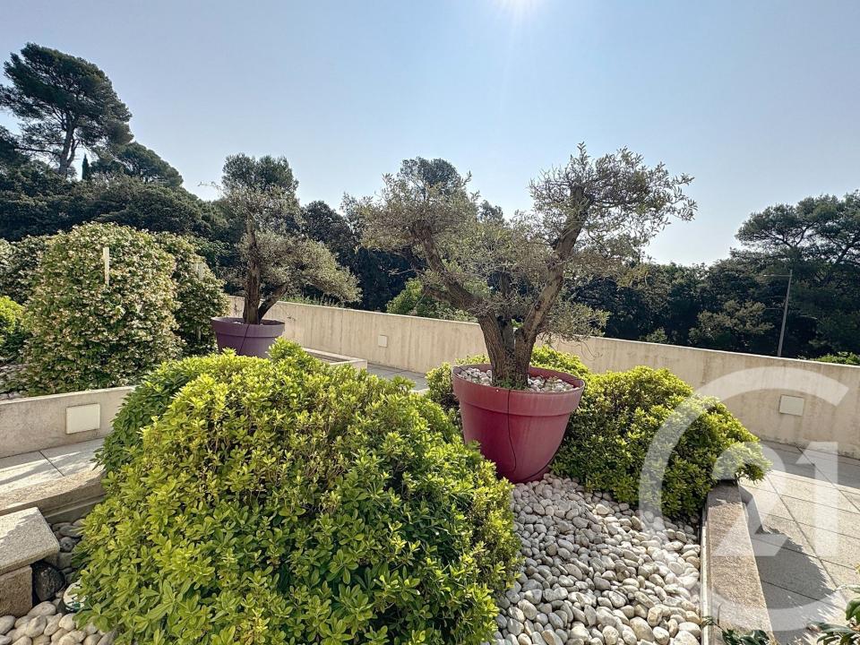 Juvignac, Languedoc-Roussillon 34990, France