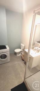 Laval, Земли Луары 53000, Франция