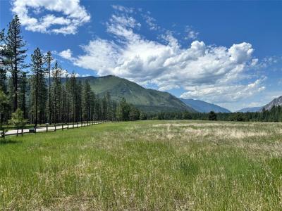 nhn River Road W, Plains, Montana 59859