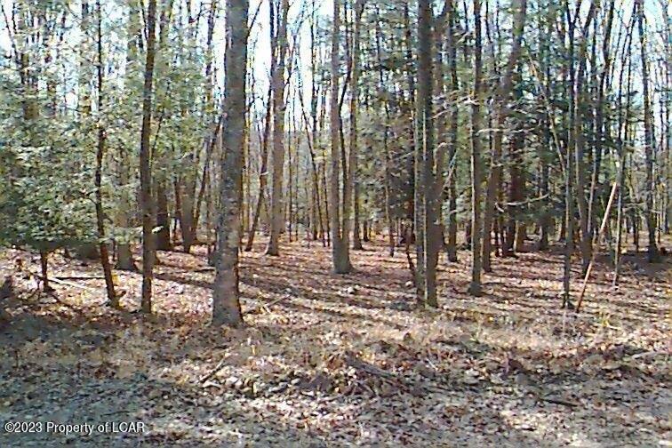 AW Lot 114 Arapahoe Lane, Hazleton, Pennsylvanie 18202, États-Unis