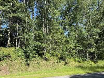 Lot 8 Terminal Road, Breezy Point, Миннесота 56472, Соединенные Штаты