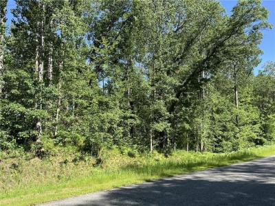 Lot 8 Terminal Road, Breezy Point, Миннесота 56472, Соединенные Штаты