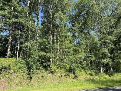 Lot 8 Terminal Road, Breezy Point, Миннесота 56472, Соединенные Штаты