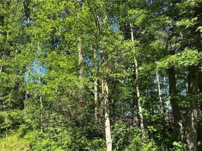 Lot 8 Terminal Road, Breezy Point, Миннесота 56472, Соединенные Штаты