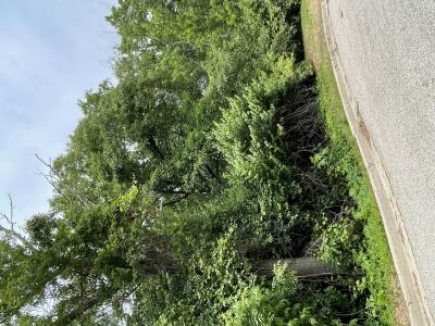 7110 Forest Oak Drive, Mchenry, 伊利諾州 60050, 美國