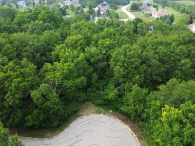 7110 Forest Oak Drive, Mchenry, 伊利諾州 60050, 美國