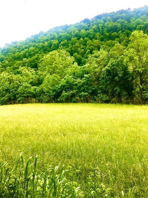 TBD Hatfield Road, Tazewell, 테네시 37879, 미국