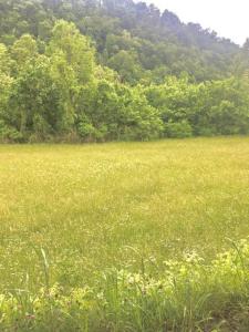 TBD Hatfield Road, Tazewell, 테네시 37879, 미국