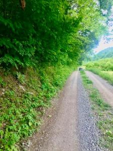 TBD Hatfield Road, Tazewell, 테네시 37879, 미국