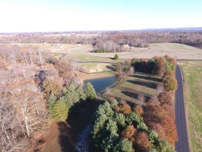 Lot 32 Laurelwood, Nancy, ケンタッキー 42533, アメリカ合衆国