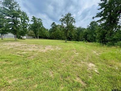 LOT 12 CR 3545, Hawkins, 得克萨斯州 75765, 美国