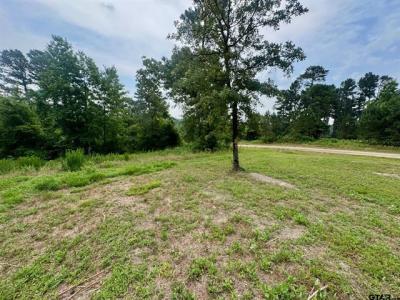 LOT 12 CR 3545, Hawkins, 得克萨斯州 75765, 美国