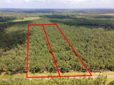 LOT 29 & LOT 30 Eagles Nest, Broaddus, Texas 75929, USA