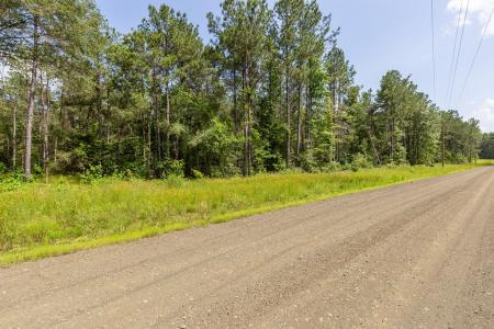 LOT 29 & LOT 30 Eagles Nest, Broaddus, Texas 75929, Estados Unidos