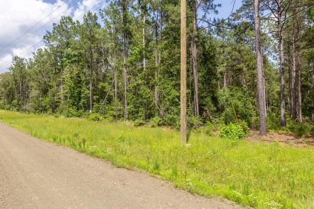 LOT 29 & LOT 30 Eagles Nest, Broaddus, Texas 75929, Estados Unidos