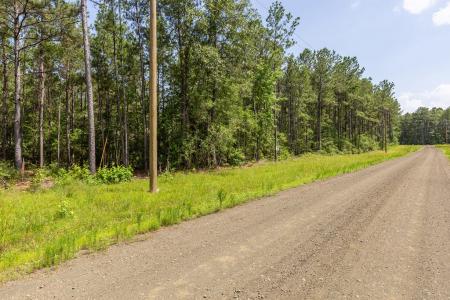 LOT 29 & LOT 30 Eagles Nest, Broaddus, Texas 75929, Estados Unidos