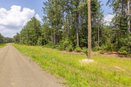 LOT 29 & LOT 30 Eagles Nest, Broaddus, Texas 75929, Estados Unidos