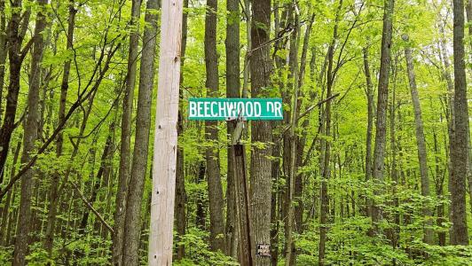 322-328 Beechwood Drive, Roscommon, Michigan 48653, USA