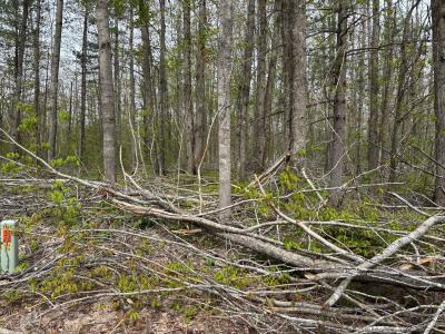 VL Lot 376 Forestview Circle, Gaylord, Michigan 49735, HOA KỲ
