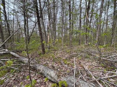 VL Lot 376 Forestview Circle, Gaylord, Michigan 49735, USA