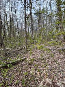 VL Lot 376 Forestview Circle, Gaylord, Michigan 49735, HOA KỲ