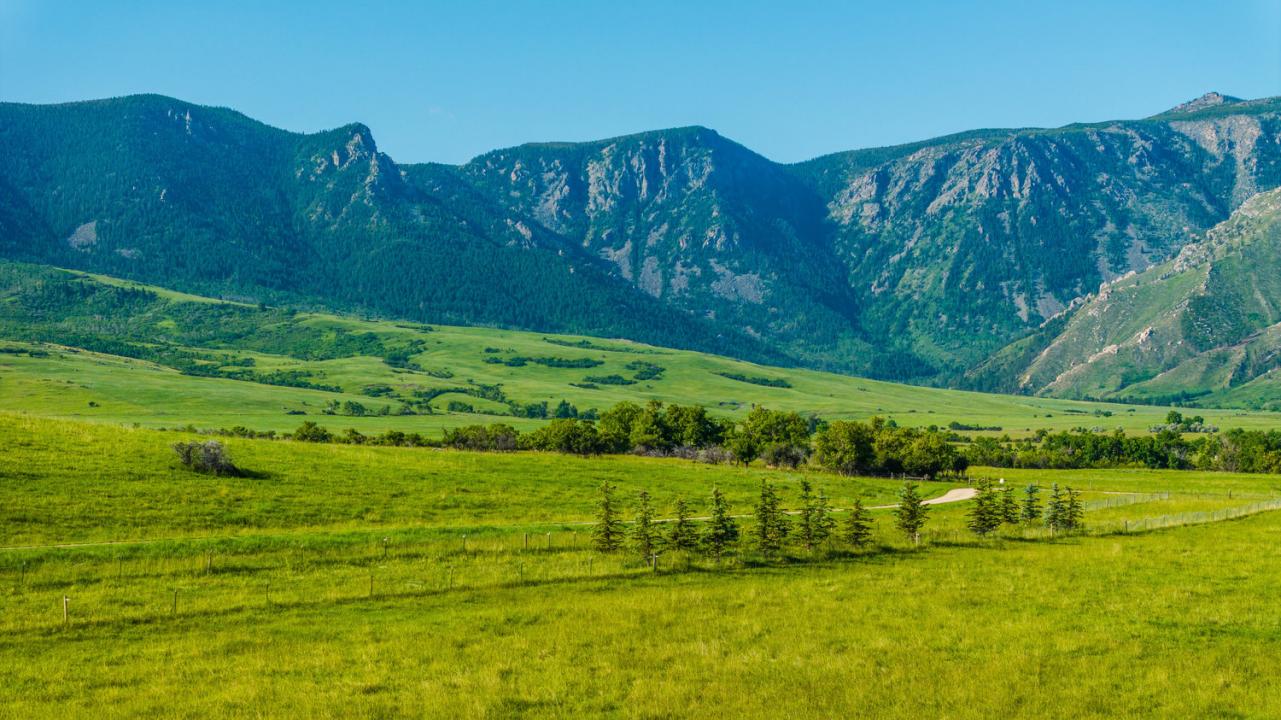 40.6 Acres Canyon Ranch Rd, Big Horn, Wyoming 82833