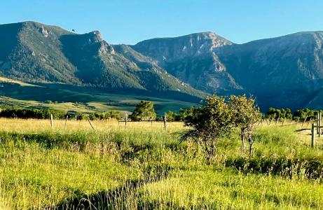 40.6 Acres Canyon Ranch Rd, Big Horn, Wyoming 82833