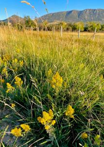 40.6 Acres Canyon Ranch Rd, Big Horn, Wyoming 82833