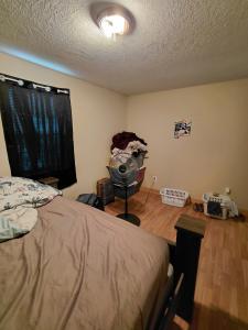 616 A&B Homestead Dr, Troy, 田纳西州 38260, 美国